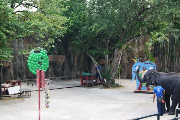 DSC02599_resize.JPG
