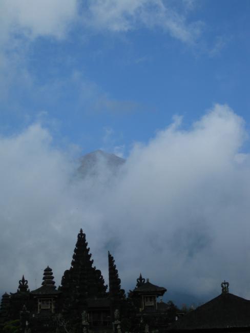IMG_7450.jpg