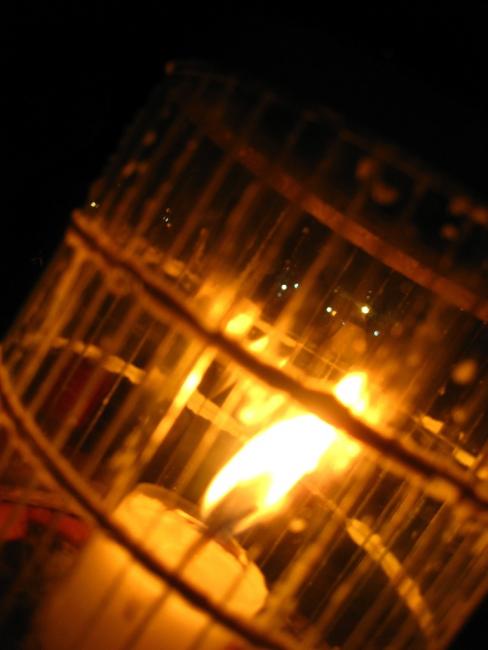 IMG_7714.jpg