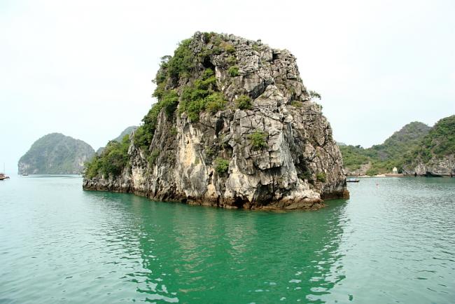 _MG_8933VN.JPG