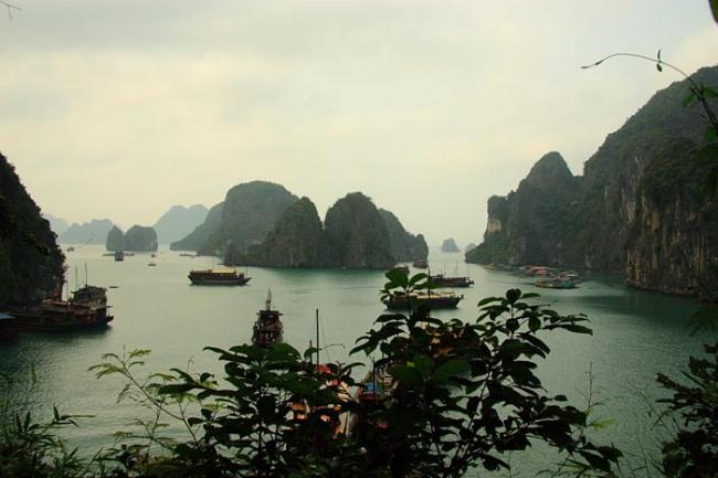 _MG_8958VN.JPG