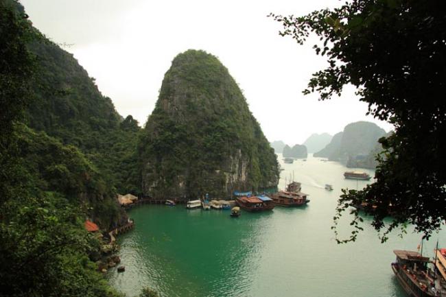_MG_8963VN.JPG