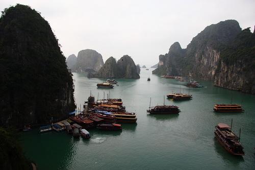_MG_9014VN.JPG