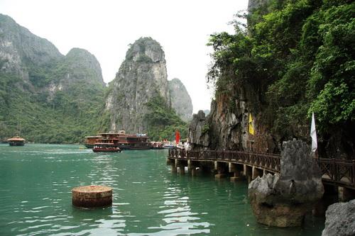 _MG_9026VN.JPG