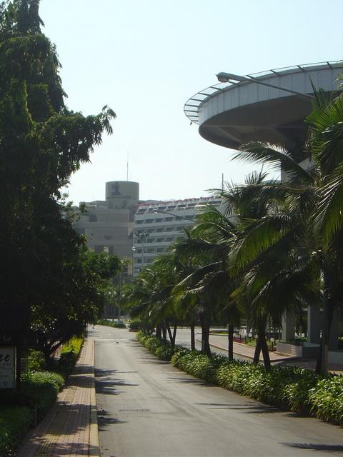 9036.jpg