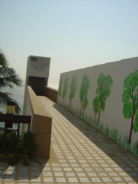 9123.jpg