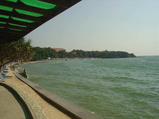 9136.jpg