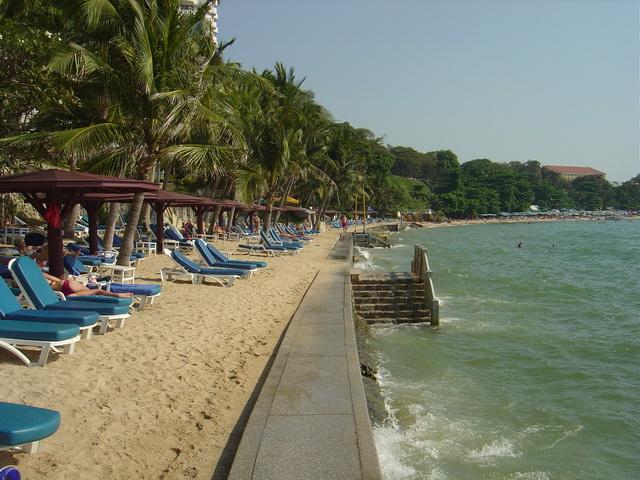 9137.jpg