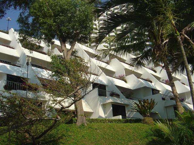 9143.jpg