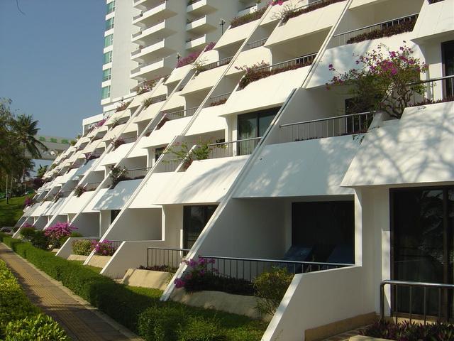 9146.jpg