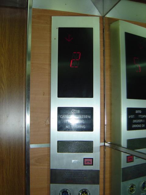 9147.jpg