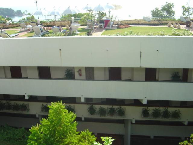 9152.jpg