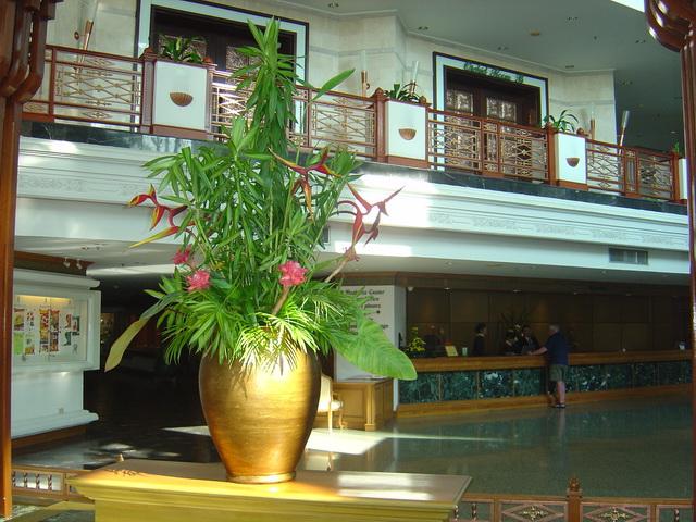 9155.jpg