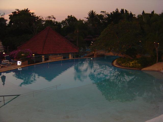 9167.jpg
