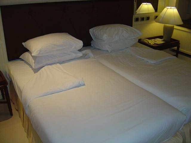 9169.jpg
