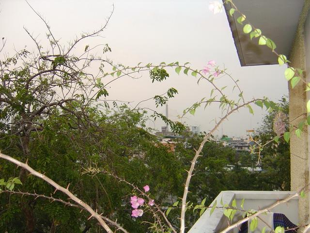 4001.jpg