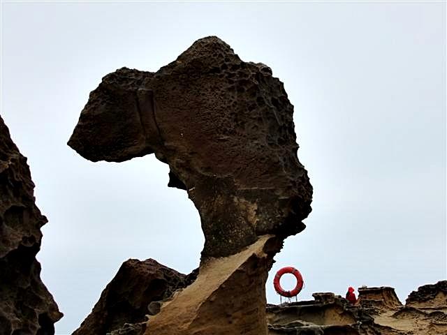 DSCF1280 (Small).JPG
