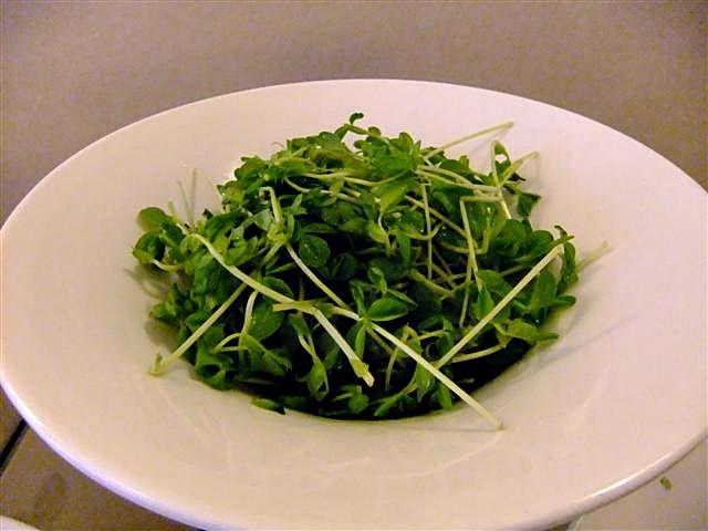 DSCF6029 (Small).JPG
