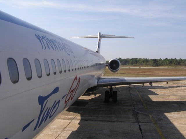 P3190018.JPG
