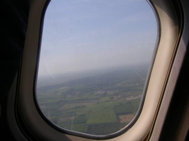 P3190029.JPG