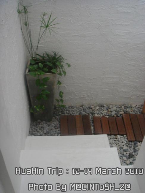 DSC08936_resize.jpg