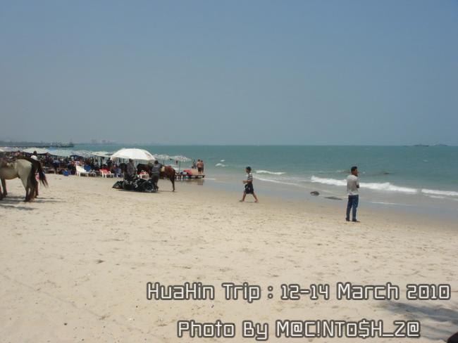 DSC08974_resize.jpg