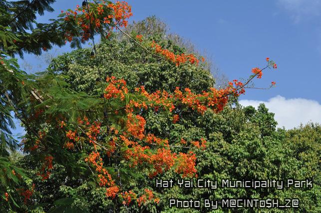 DSC_0059_resize.jpg