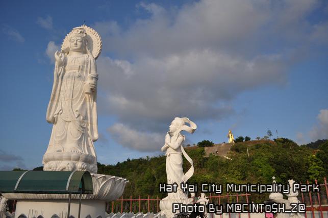 DSC_0123_resize.jpg