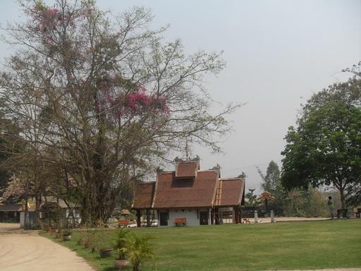 SDC12998_resize.JPG