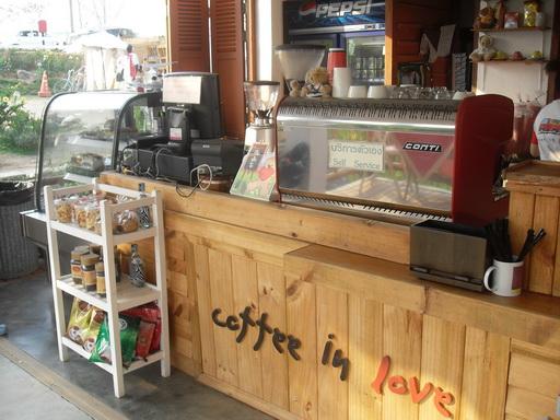 SDC13044_resize.JPG