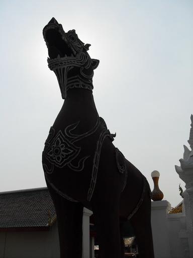 SDC13228_resize.JPG