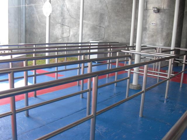 CIMG3784.JPG