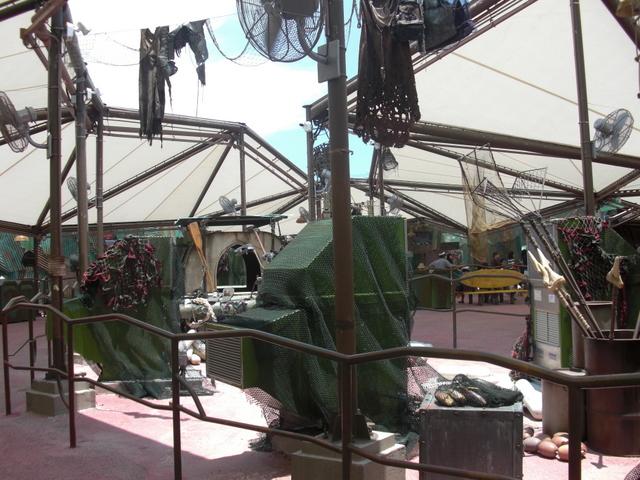 CIMG3906.JPG