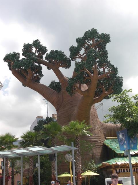 CIMG3760.JPG
