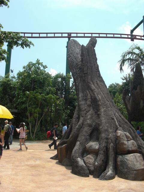 CIMG3959.JPG