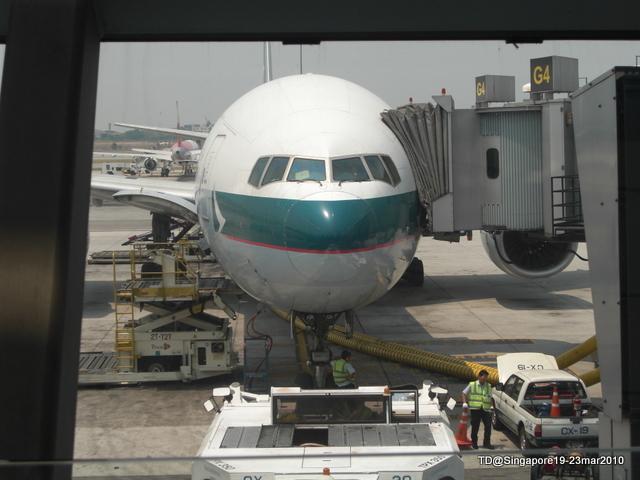 CIMG3103.JPG