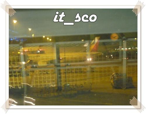 010.JPG