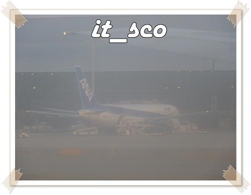 100.JPG