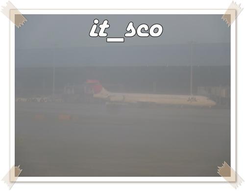 101.JPG