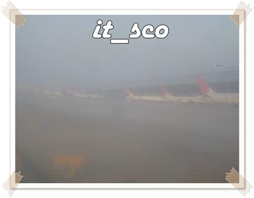102.JPG