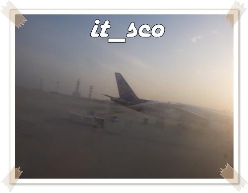 113.JPG