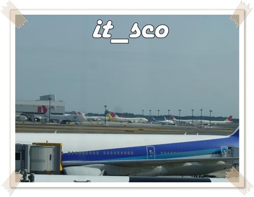 604.JPG