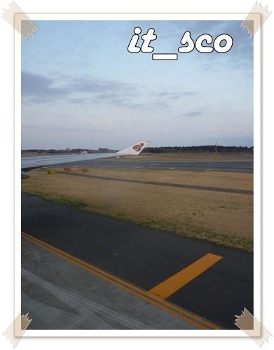 647.JPG