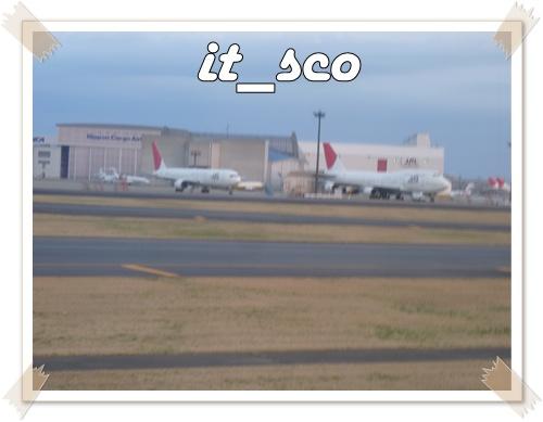 649.JPG