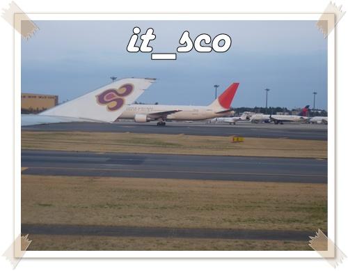 651.JPG