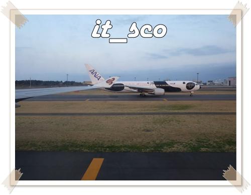 654.JPG