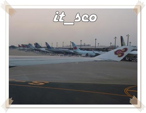658.JPG