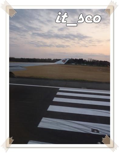667.JPG