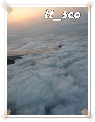 681.JPG