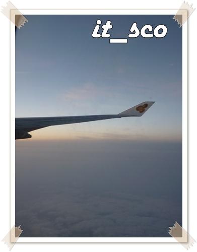 684.JPG